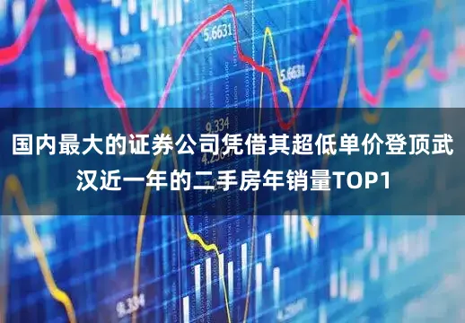 国内最大的证券公司凭借其超低单价登顶武汉近一年的二手房年销量TOP1