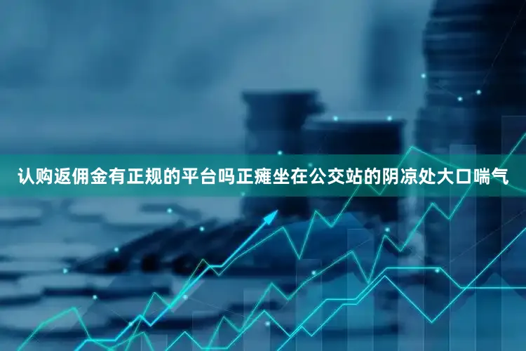 认购返佣金有正规的平台吗正瘫坐在公交站的阴凉处大口喘气