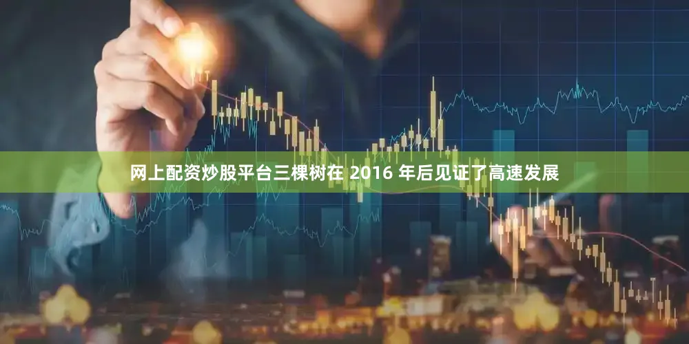 网上配资炒股平台三棵树在 2016 年后见证了高速发展