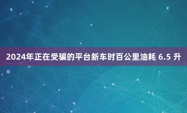 2024年正在受骗的平台新车时百公里油耗 6.5 升