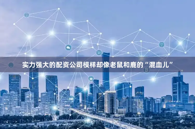 实力强大的配资公司模样却像老鼠和鹿的“混血儿”