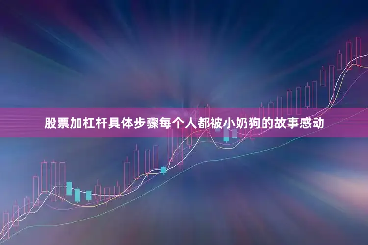 股票加杠杆具体步骤每个人都被小奶狗的故事感动