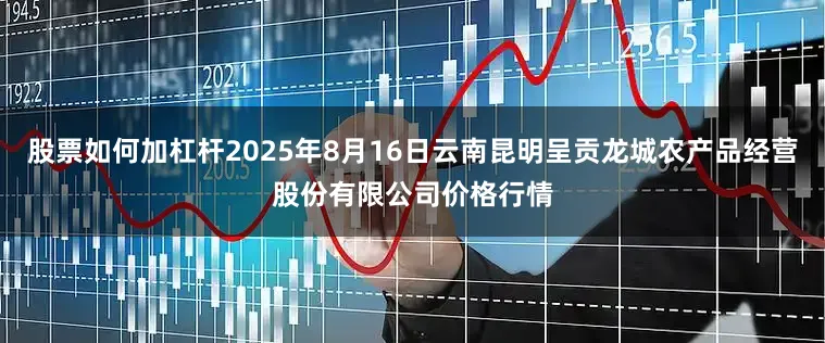 股票如何加杠杆2025年8月16日云南昆明呈贡龙城农产品经营股份有限公司价格行情