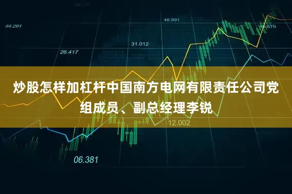炒股怎样加杠杆中国南方电网有限责任公司党组成员、副总经理李锐
