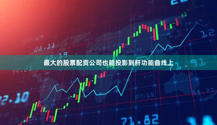 最大的股票配资公司也能投影到肝功能曲线上