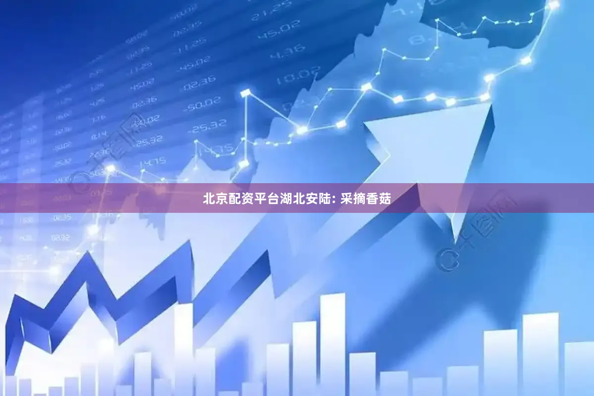 北京配资平台湖北安陆: 采摘香菇