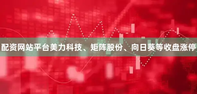 配资网站平台美力科技、矩阵股份、向日葵等收盘涨停